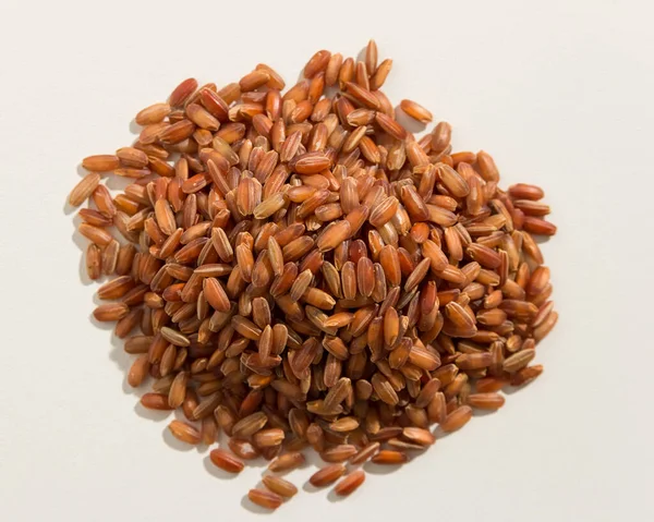 Oryza Sativa Scientific Name Bhutanese Red Rice Seed Also Known — Stock Photo, Image