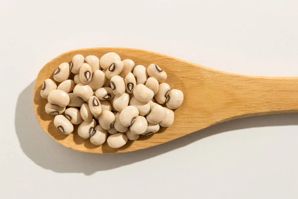 Vigna Unguiculata Nome Científico Black Eyed Pea Legume Também Conhecida — Fotografia de Stock