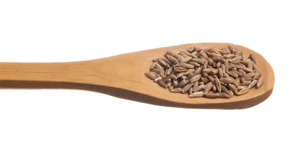Secale Cereale Nome Científico Grão Cereais Centeio Também Conhecido Como — Fotografia de Stock