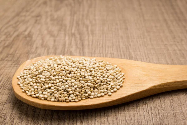 Chenopodium Quinoa Ett Vetenskapligt Namn Golden Quinoa Frö Kärnor Träslev — Stockfoto