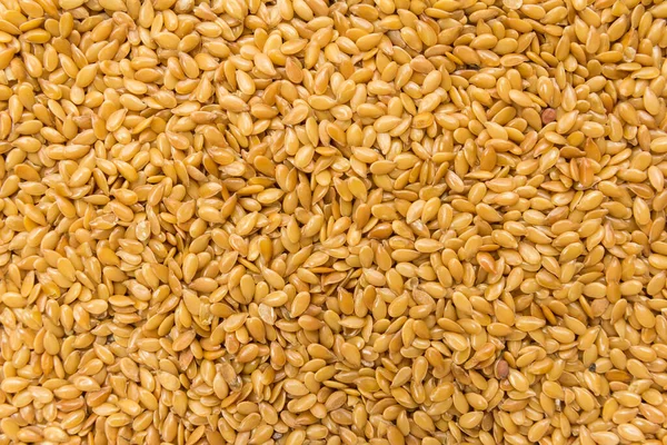 Linum Usitatissimum Wetenschappelijke Naam Van Golden Flax Zaad Ook Bekend — Stockfoto