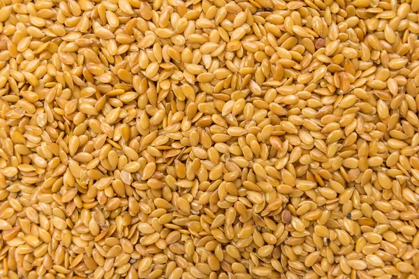 Linum Usitatissimum Scientific Name Golden Flax Seed Also Known Linseed — Stock Photo, Image