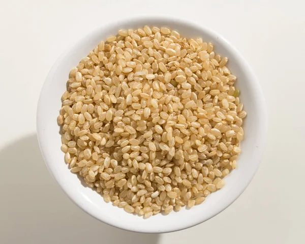 Oryza Sativa 是全麦稻种的科学名称 也被称为Sushi Rice和Arroz Cateto Integral 葡萄牙语 一碗谷粒的头像 白人背景 — 图库照片