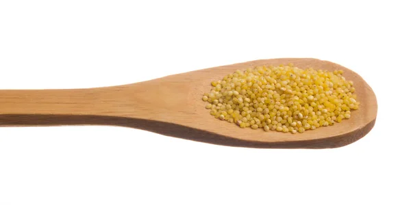 Panicum Miliaceum Vetenskapligt Namn Proso Millet Spannmål Även Känd Som — Stockfoto