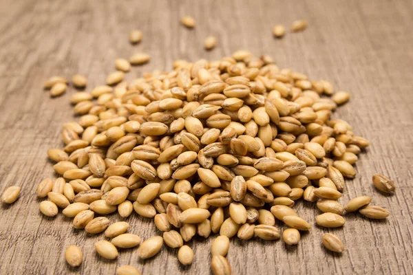 Hordeum Vulgare Nombre Científico Del Grano Cereales Cebada También Conocido — Foto de Stock