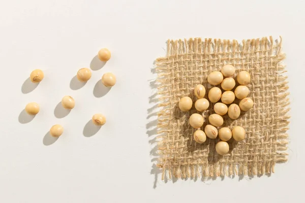 Glycine Max Scientific Name Soybean Legume Also Known Soya Bean — Stock Photo, Image