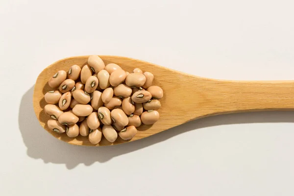 Vigna Unguiculata Wetenschappelijke Naam Van Cowpea Legume Ook Bekend Als — Stockfoto