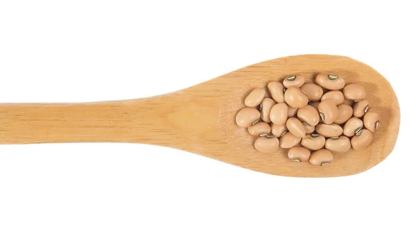 Vigna Unguiculata Ett Vetenskapligt Namn Cowpea Baljväxter Även Känd Som — Stockfoto