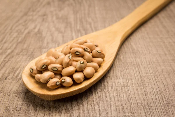 Vigna Unguiculata Nombre Científico Leguminosa Cowpea También Conocida Como Haricot — Foto de Stock