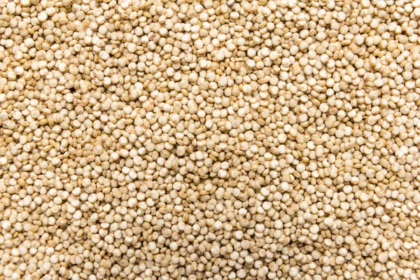 Chenopodium Quinoa Wetenschappelijke Naam Van Golden Quinoa Zaad Closeup Van — Stockfoto