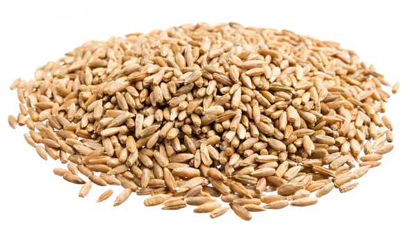 Secale Cereale Wetenschappelijke Naam Van Rogge Granen Ook Bekend Als — Stockfoto