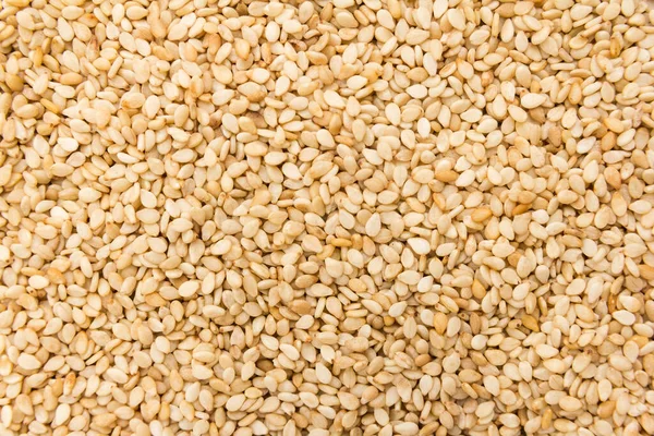 Sesamum Indicum 세사메 Sesame 과학적 이름이다 Gergelim Portuguese Sesamo 스페인어 — 스톡 사진