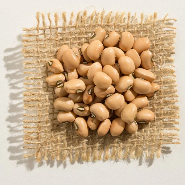 Vigna Unguiculata Est Nom Scientifique Légumineuse Cowpea Aussi Connu Sous — Photo