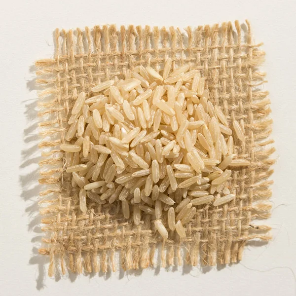 Oryza Sativa Научное Название Китайского Семени Риса Известен Long Grain — стоковое фото