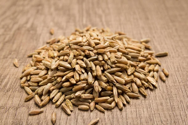 Secale Cereale Scientific Name Rye Cereal Grain Also Known Centeio — Stock Photo, Image