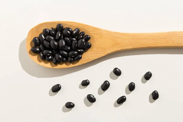 Phaseolus Vulgaris Vetenskapligt Namn Black Turtle Bean Baljväxter Även Känd — Stockfoto