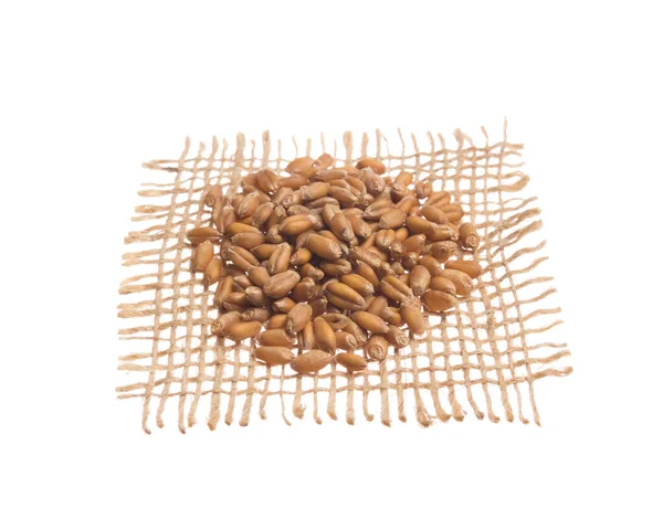 Triticum Aestivum Ett Vetenskapligt Namn Vetekorn Även Känd Som Trigo — Stockfoto