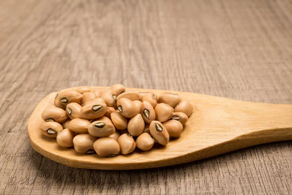 Vigna Unguiculata Nombre Científico Leguminosa Cowpea También Conocida Como Haricot — Foto de Stock