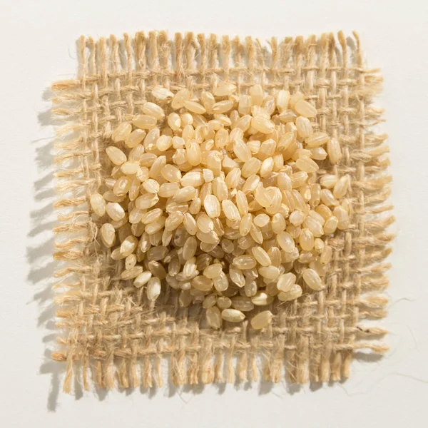 Oryza Sativa Wetenschappelijke Naam Van Whole Short Grain Rice Seed — Stockfoto