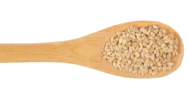 Oryza Sativa Ist Der Wissenschaftliche Name Für Chinesisches Reissamen Körner — Stockfoto