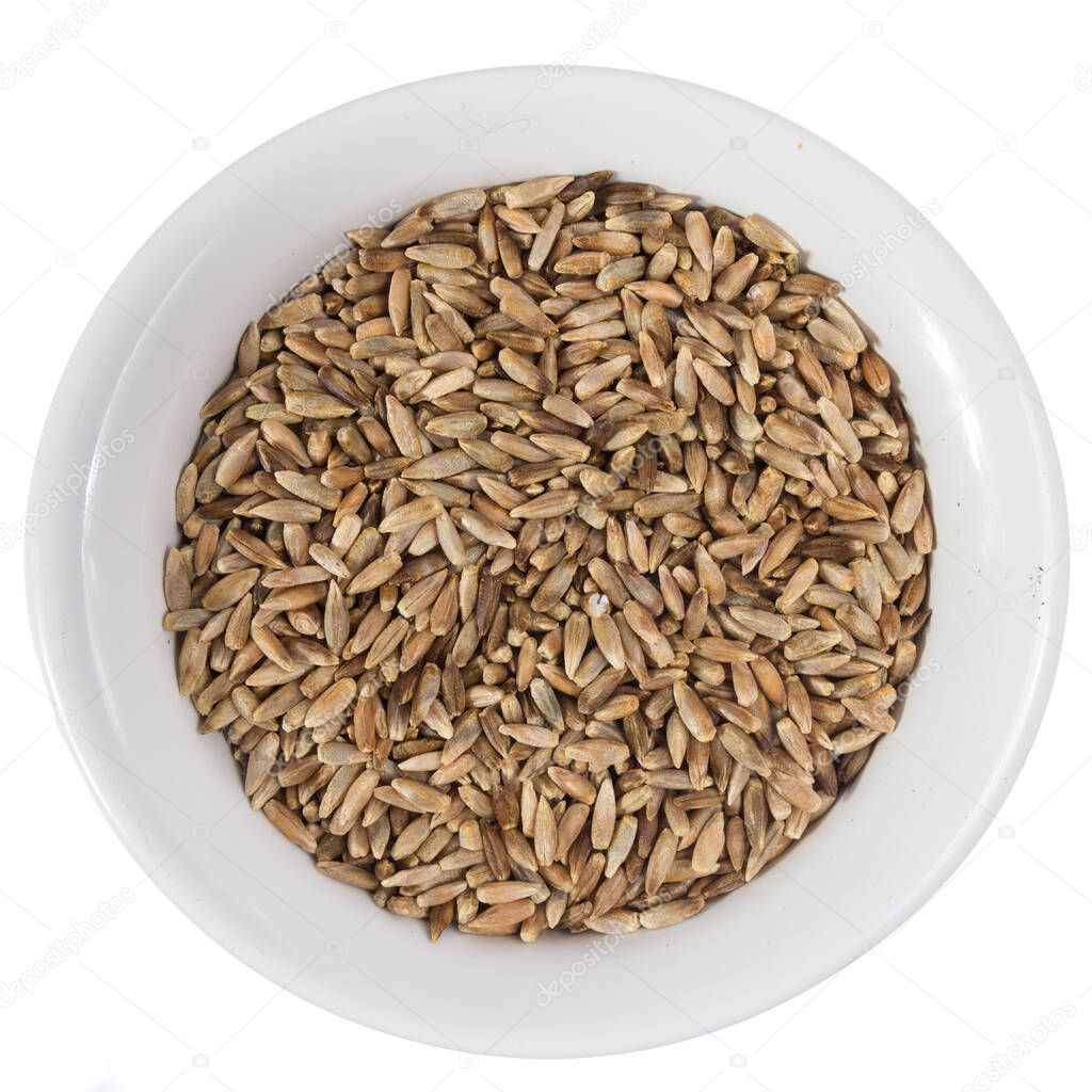 Secale cereale is scientific name of Rye cereal grain. Also known as Centeio (portuguese) and Centeno (spanish). Top view of grains on ceramics bowl. Isolated.