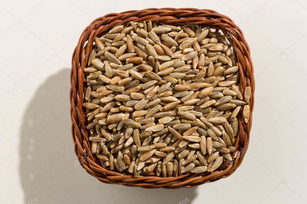 Secale cereale is scientific name of Rye cereal grain. Also known as Centeio (portuguese) and Centeno (spanish). Top view of grains in a basket. Close up.