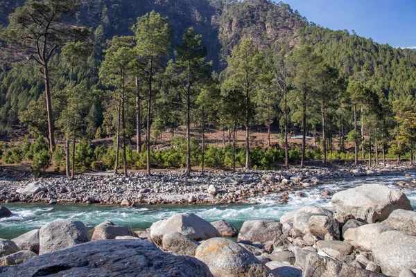 A small brook flowing through the valleys — 스톡 사진