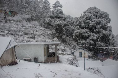 Himalaya dağının yamacında küçük bir köy. Arkasında uzun çam ağaçları olan yoğun bir kar yağışı var.