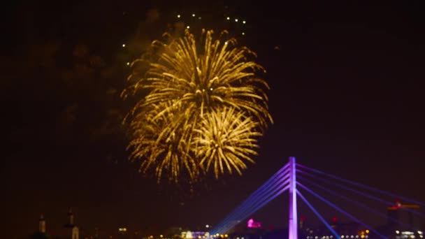 Beautiful Fireworks Show City Holiday Dark Sky Bright Fireworks Celebration — Stock Video