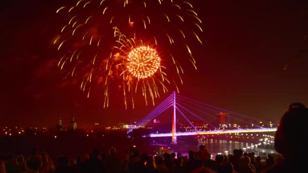 Люди Натовпу Спостерігають Святкові Феєрверки Над Освітленим Мостом Нічному Місті — стокове відео