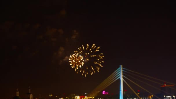 Fireworks Night Sky Low Angle View Amazing Festive Fireworks Illuminated — Stock Video
