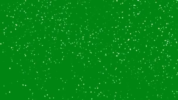 Gently Falling Snow Seamless Loop Green Screen Keying Big Small — 비디오