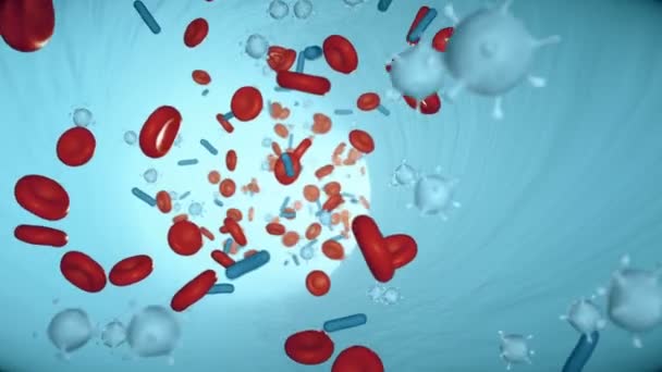 動脈の血流中の赤血球とウイルスシームレスなループ3次元的なヘモグロビン細胞と赤血球のレンダリング静脈を通って移動人間の免疫系の生物学と健康の概念 — ストック動画