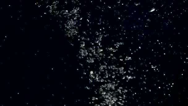Пузырьки Воды Черном Фоне Студии — стоковое видео