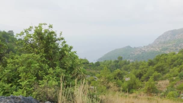 Montanhas Verdes Mar Neblina Neblina Manhã Nevoeiro Sobre Planaltos Verdes — Vídeo de Stock