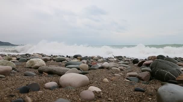 Panic Sea Waves Flooded Shore — Stock Video