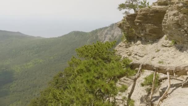 Panorama Montagnes Vertes Paysages Montagneux Conifères Bois Chaîne Collines Crêtes — Video