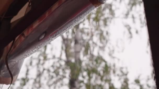 Zomerregen Groene Bomen Achtergrond Regen Douches Uitzicht Vanuit Toeristische Tent — Stockvideo