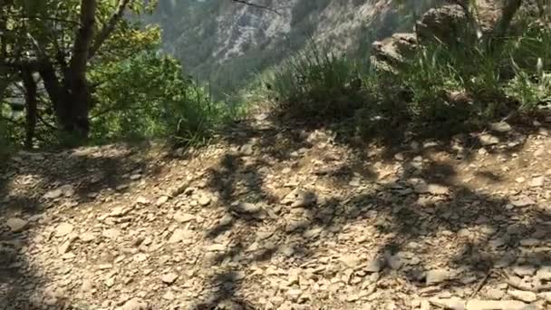 Tourist Legs Stepping Forest Path While Hiking Mountain Hiker Walking — Stockvideo