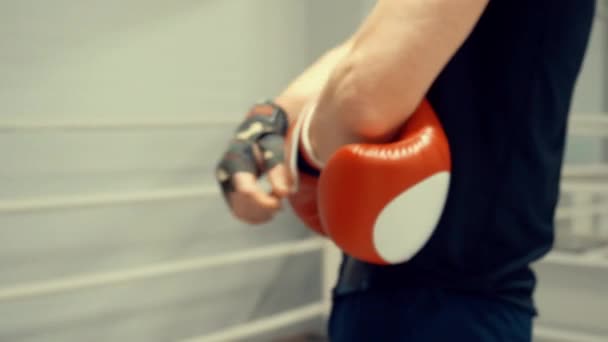 プロボクサーはライバルボクサーと戦う準備をして彼の手にボクサー手袋を入れているリングサイドプロスポーツの概念 — ストック動画