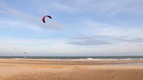 Instruktor Učí Začátečník Jezdit Kite Surf — Stock video