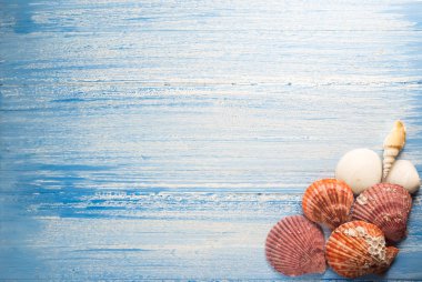 kabuk ahşap doku arka planda, renkli arkaplan