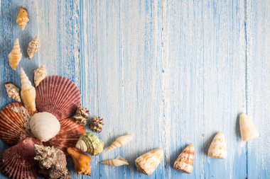 kabuk ahşap doku arka planda, renkli arkaplan