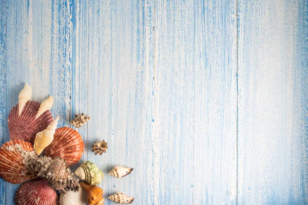 Schelp op hout textuur achtergrond, kleurrijke achtergrond — Stockfoto
