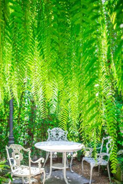 vintage tablo ile yeşil bokeh arka plan