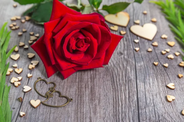 Kształt serca z zielonymi listwami i czerwonym kwiatem róży — Zdjęcie stockowe