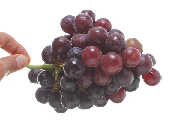Red Grape Isolated White Background — Stock Photo, Image