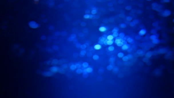 Yakın Çekim Denizanası Medusa Fish Tank Neon Işık Ile Denizanası — Stok video