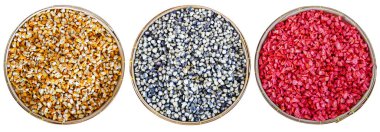 Kuru mısır taneleri ekim için kullanılabilir..