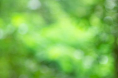 Doğal yeşil mavi bokeh arkaplanı